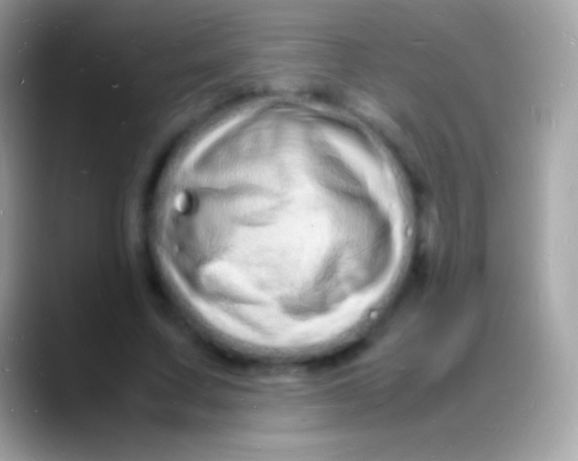 X0000088130683200706041319