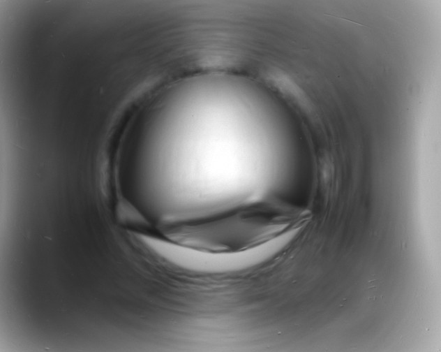 X0000088130684200706041319