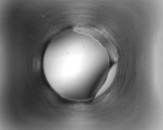 X0000088130685200706041319