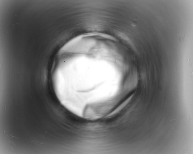 X0000088130686200706041319