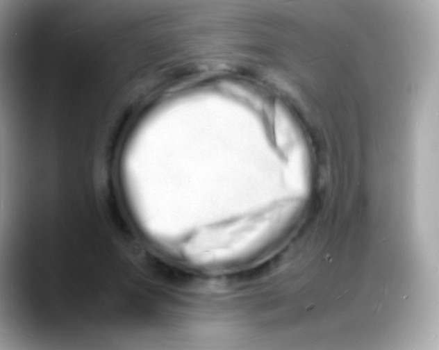 X0000088130687200706041319