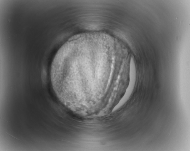 X0000088130688200706041319