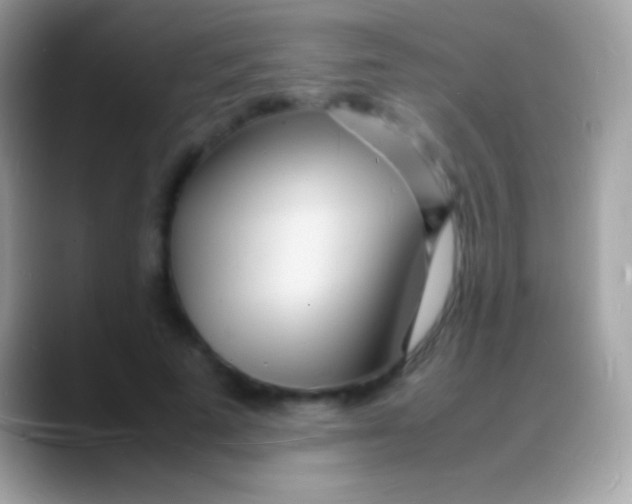 X0000088130689200706041319