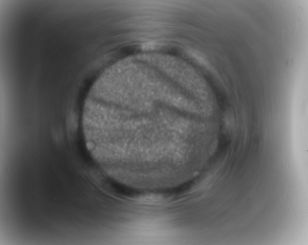 X0000088130691200706041319