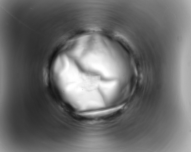 X0000088130692200706041319