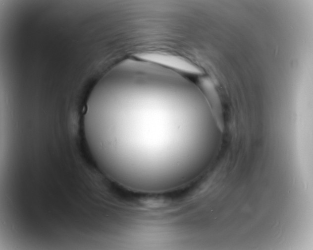 X0000088130693200706041319