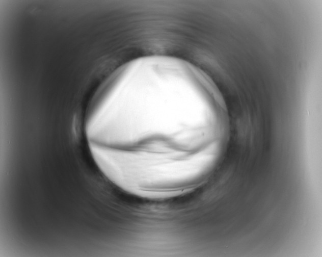 X0000088130694200706041319