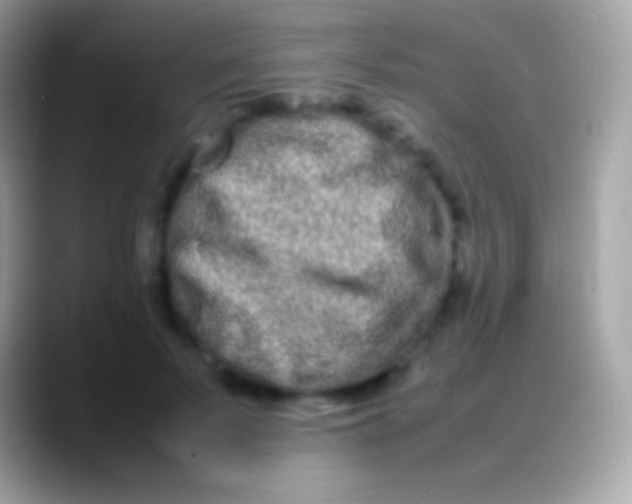 X0000088130695200706041319