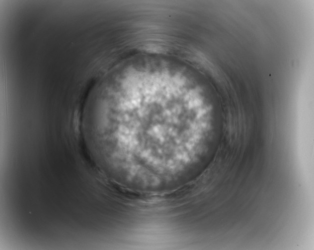 X0000088130696200706041319