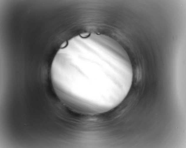 X0000088130702200706041319