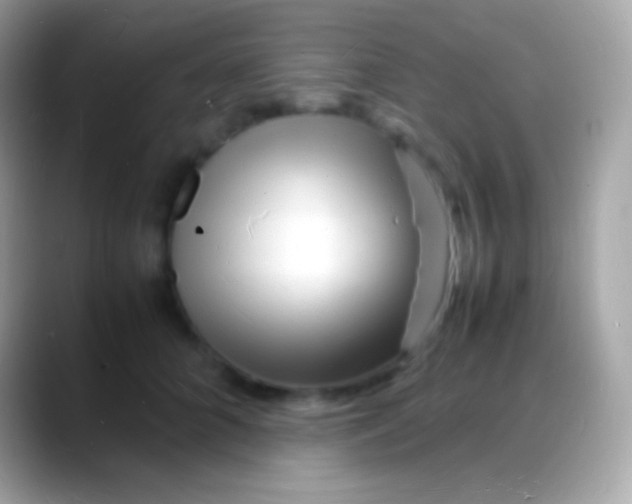 X0000088130704200706041319