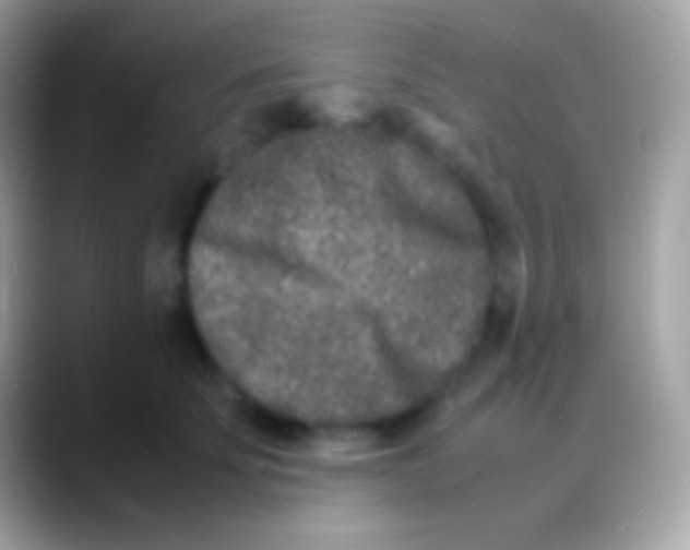 X0000088130707200706041319