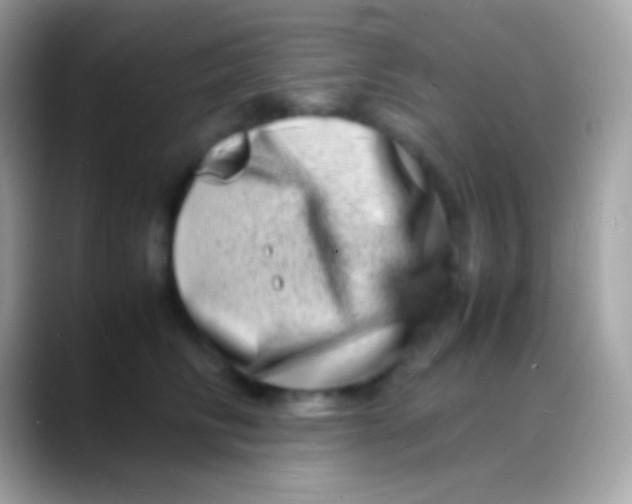 X0000088130710200706041319