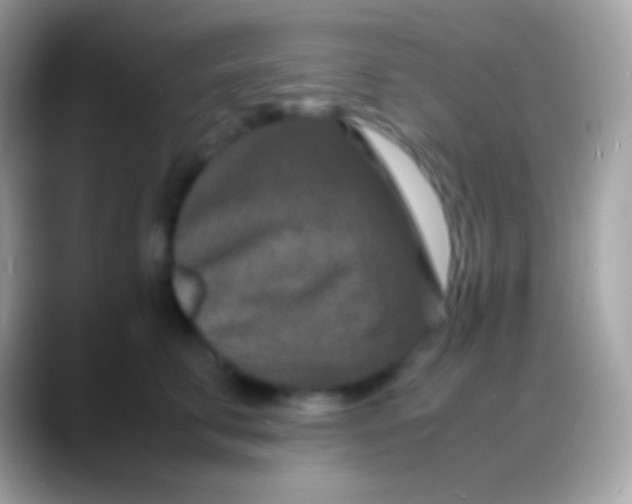 X0000088130711200706041319