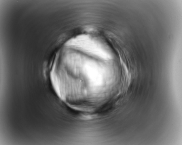 X0000088130712200706041319