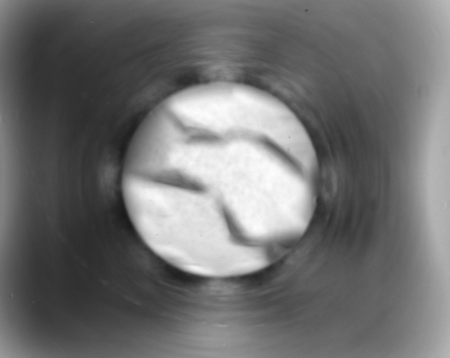 X0000088130714200706041319