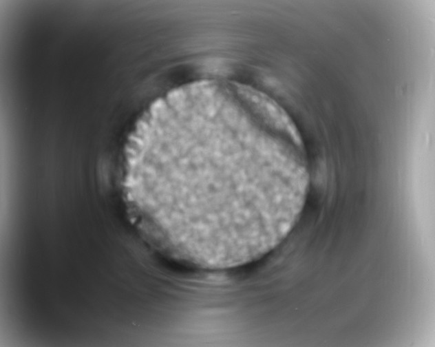 X0000088130715200706041319