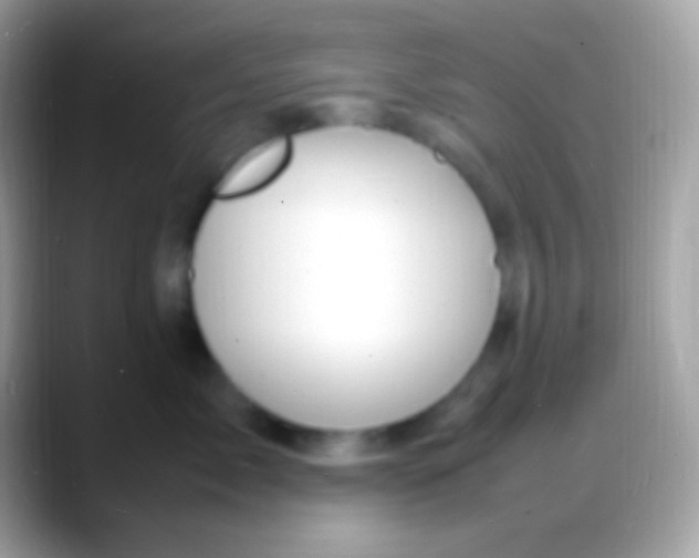 X0000088130717200706041319