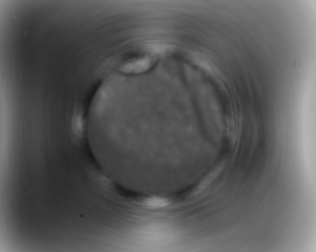 X0000088130718200706041319