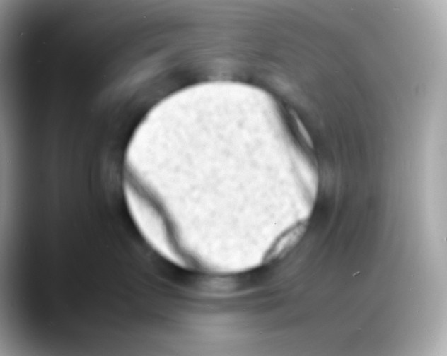 X0000088130719200706041319