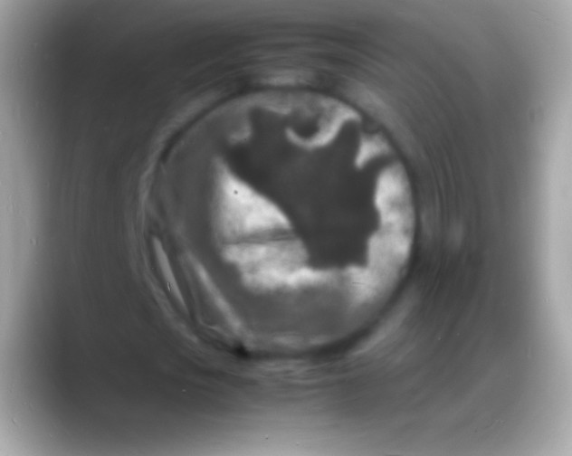 X0000088130721200706041318