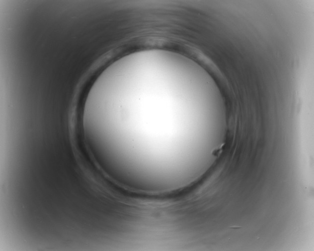 X0000088130722200706041318