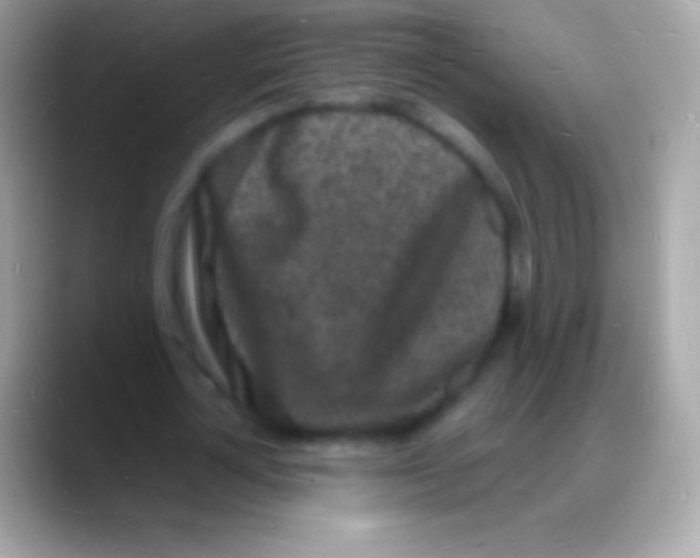 X0000088130724200706041318