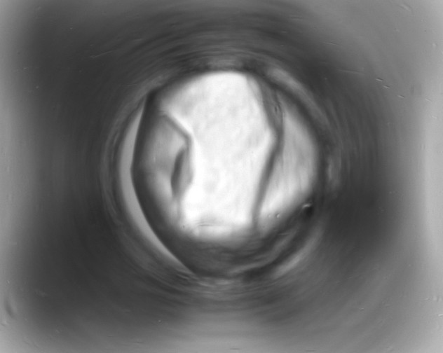 X0000088130725200706041318