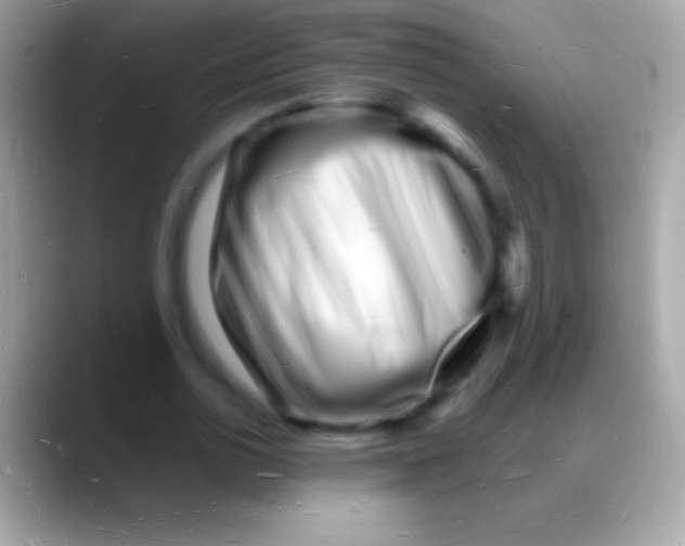 X0000088130726200706041318