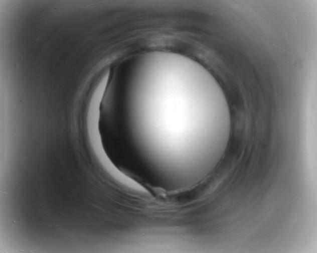 X0000088130727200706041318