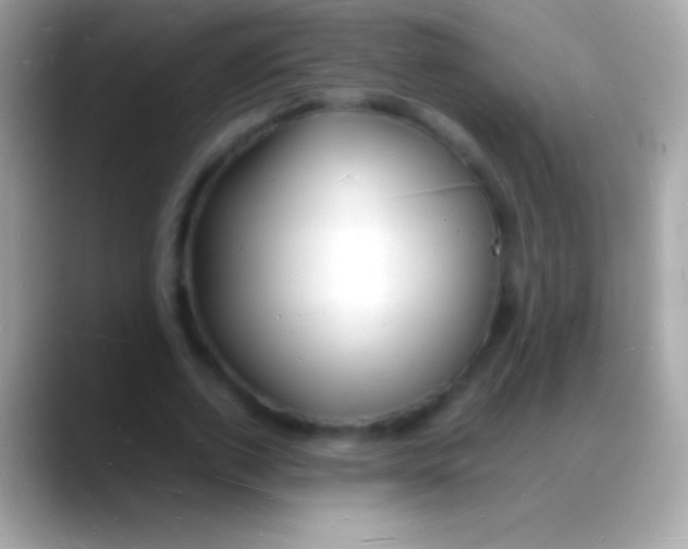 X0000088130728200706041318