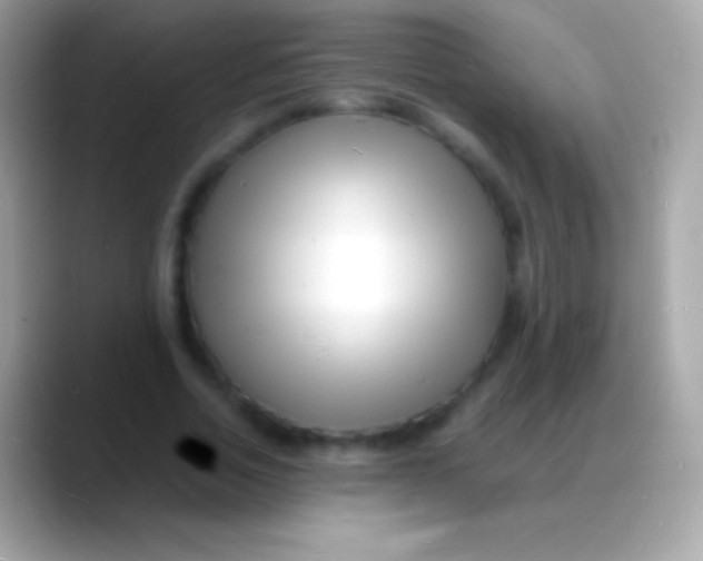 X0000088130730200706041318