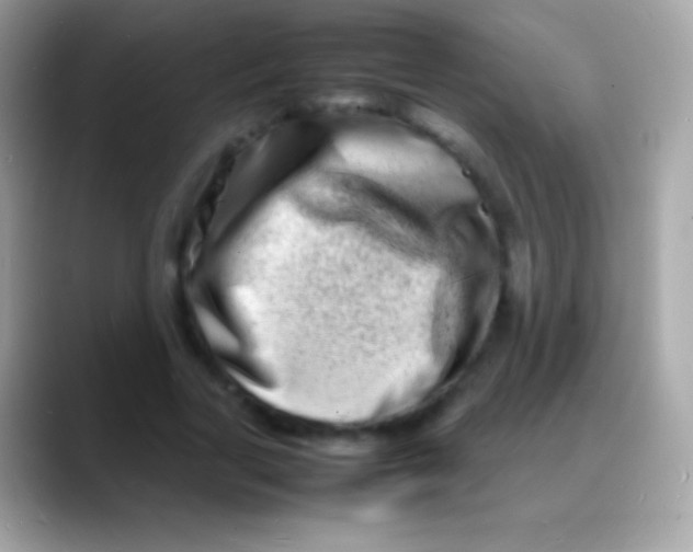 X0000088130731200706041318