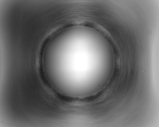 X0000088130732200706041318