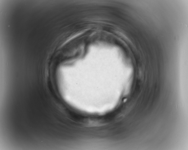 X0000088130733200706041318