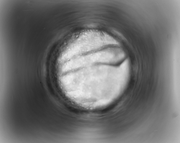 X0000088130734200706041318