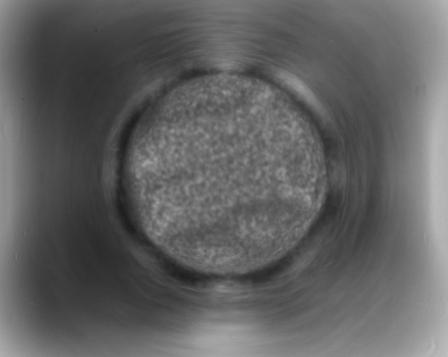 X0000088130736200706041318