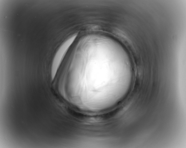 X0000088130737200706041318