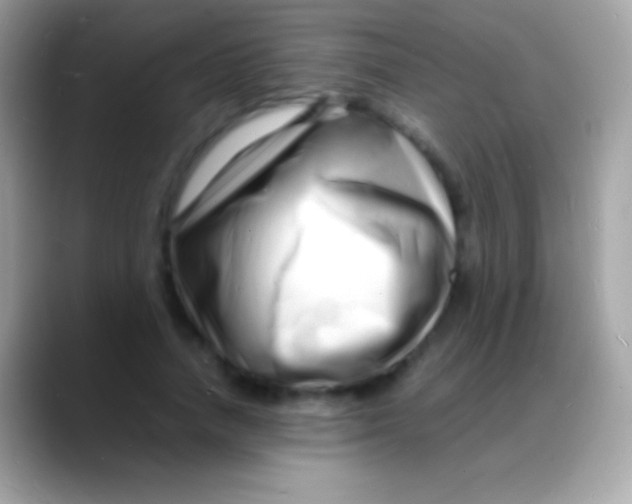 X0000088130738200706041318