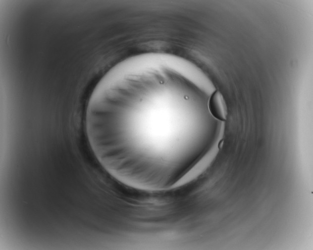 X0000088130739200706041318