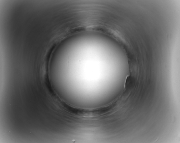 X0000088130740200706041318