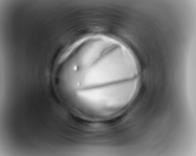 X0000088130741200706041318