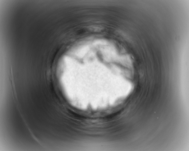 X0000088130745200706041318