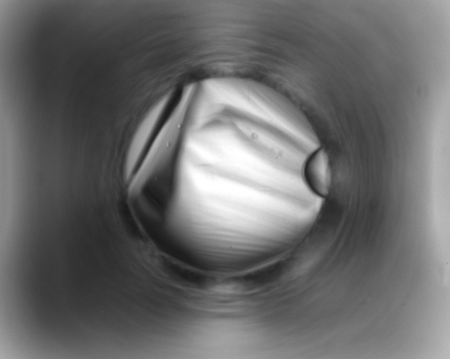 X0000088130746200706041318