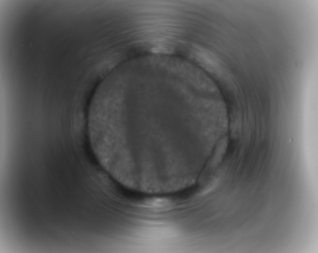 X0000088130748200706041318