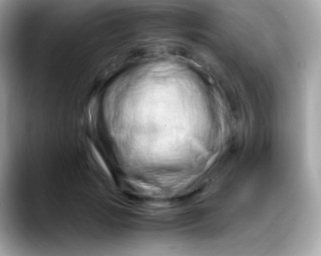 X0000088130749200706041318