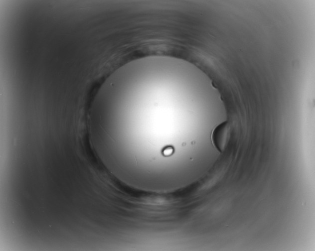 X0000088130751200706041318