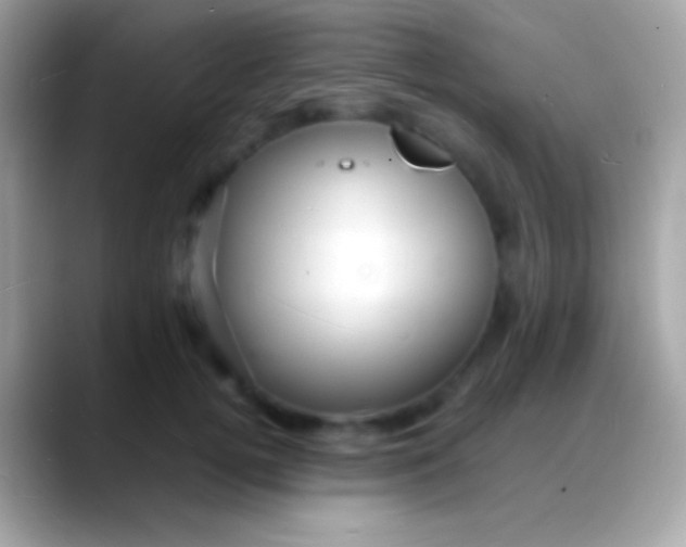 X0000088130752200706041318