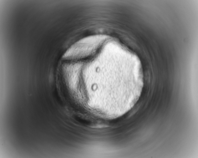 X0000088130754200706041319