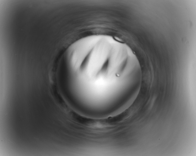 X0000088130755200706041319